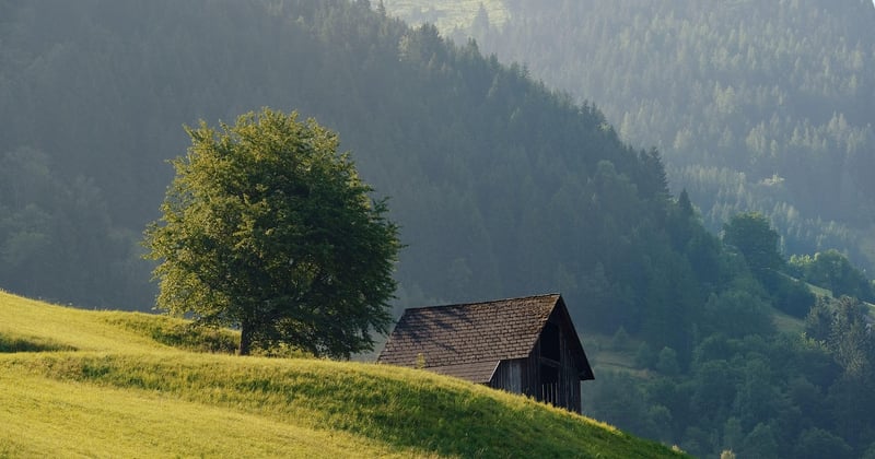 10 séjours insolites dans une cabane dans les arbres en France