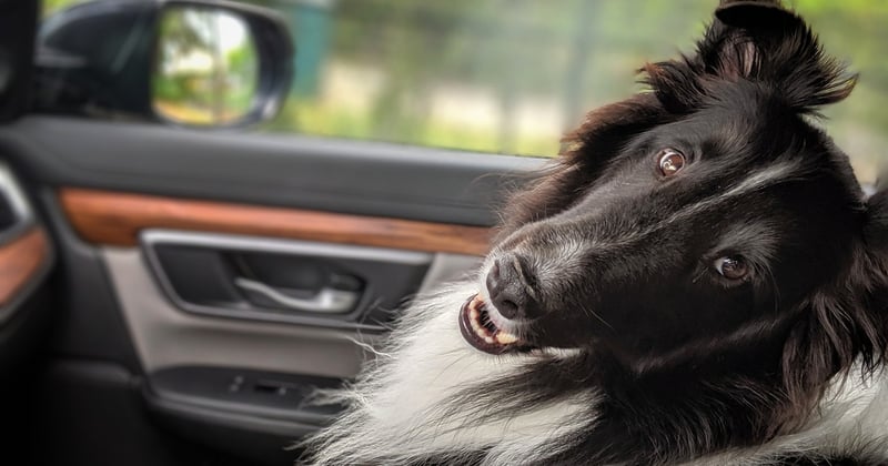 Road trip familial : organisation et étapes pour un voyage sans stress